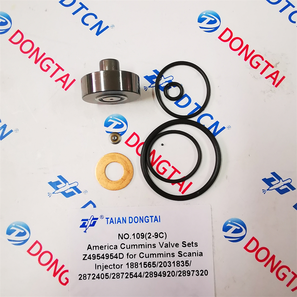 NO.109(2-9C) America Cummins Valve Sets Z4954954D  For CUMMINS Scania Injector 1881565/2031835/2872405/ 2872544/2894920/2897320