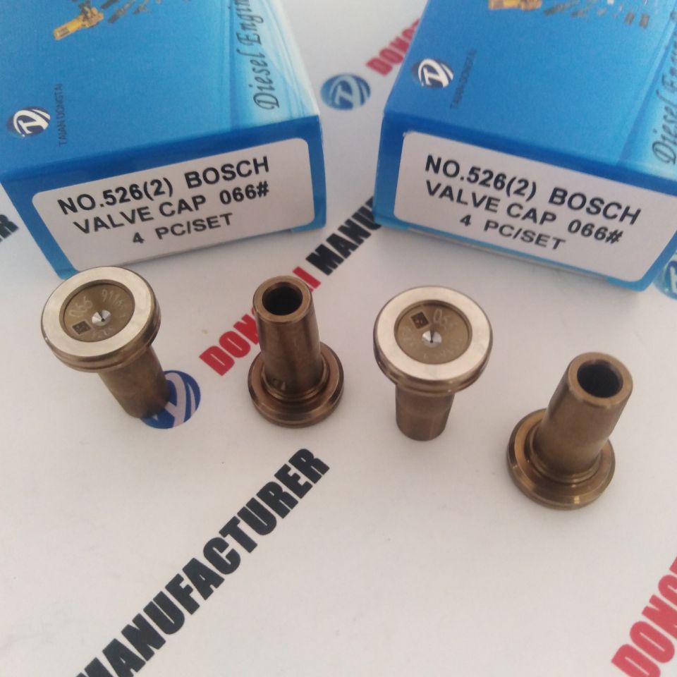 BOSCH VALVE CAP W066